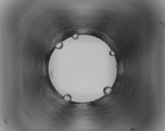 X0000103950524200809191214