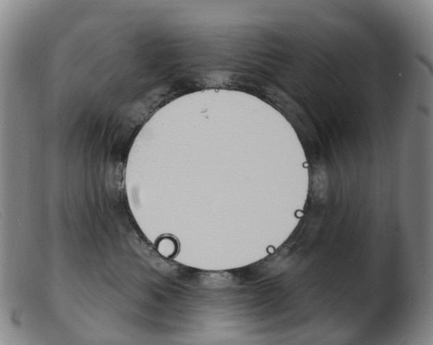 X0000103950525200809191214