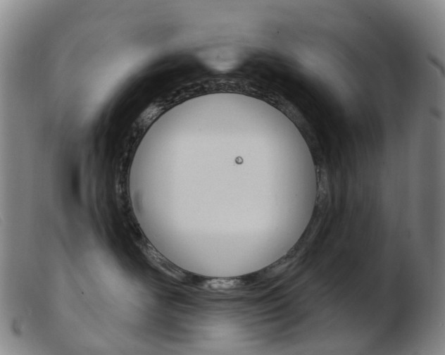 X0000103950526200809191214