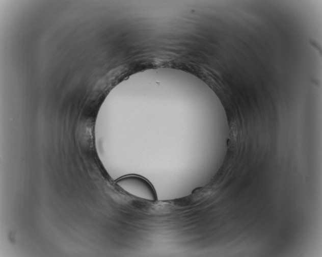 X0000103950527200809191214
