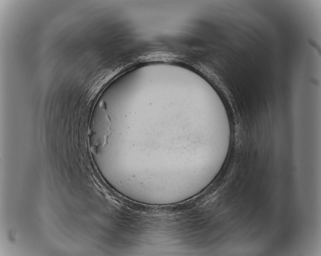 X0000103950529200809191213