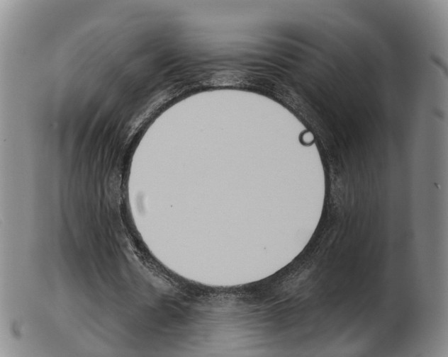 X0000103950530200809191213