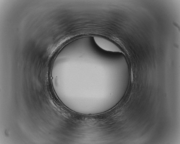 X0000103950531200809191213