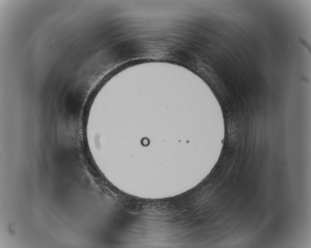 X0000103950532200809191213