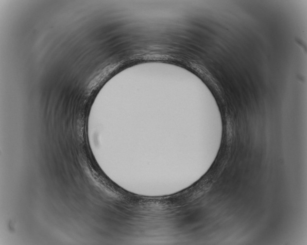 X0000103950533200809191213