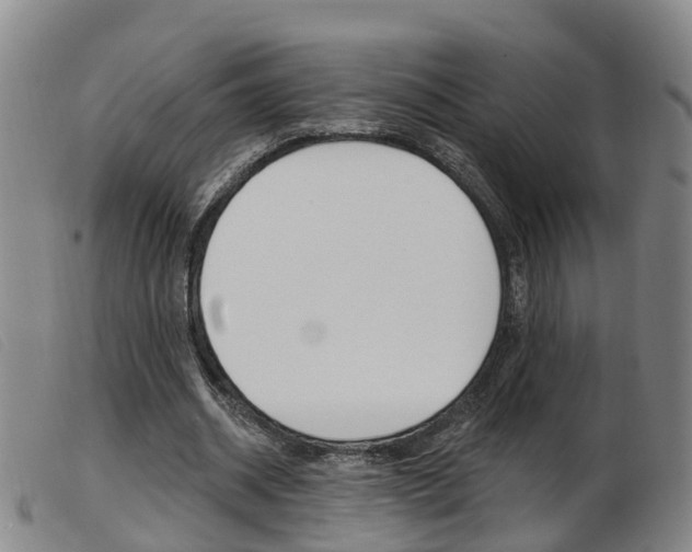 X0000103950534200809191213