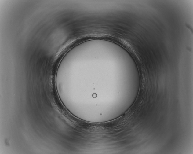 X0000103950535200809191213