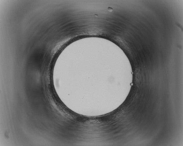 X0000103950536200809191213