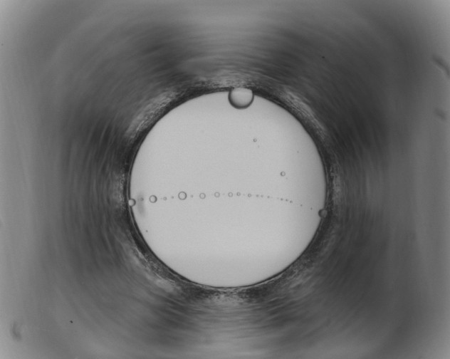 X0000103950537200809191213