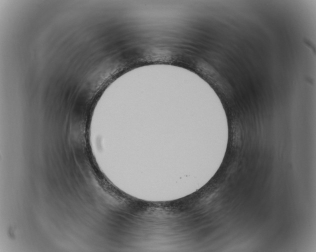 X0000103950538200809191213