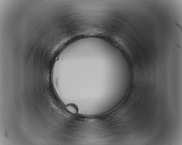 X0000103950539200809191213