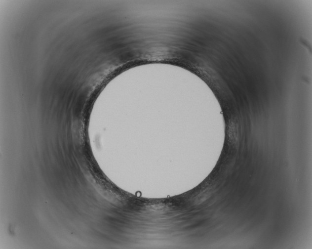 X0000103950540200809191213
