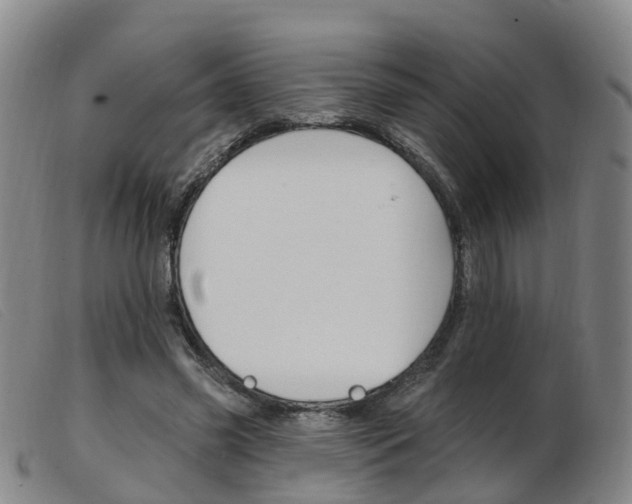 X0000103950541200809191213