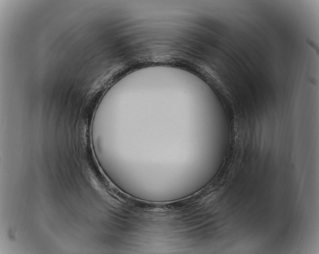 X0000103950542200809191213