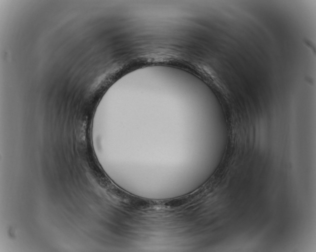 X0000103950543200809191213