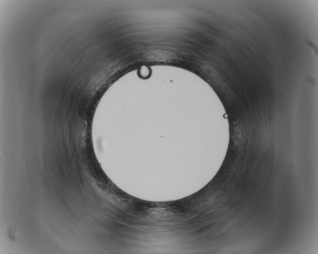 X0000103950544200809191213