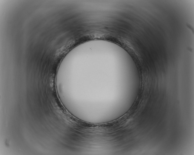 X0000103950545200809191213