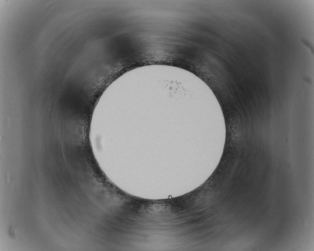 X0000103950546200809191213