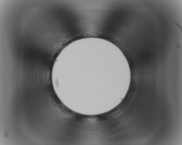 X0000103950548200809191213