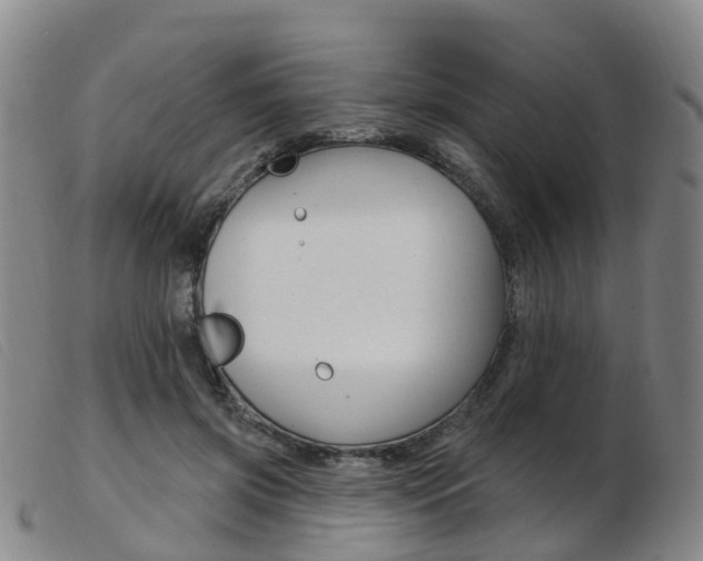 X0000103950549200809191213