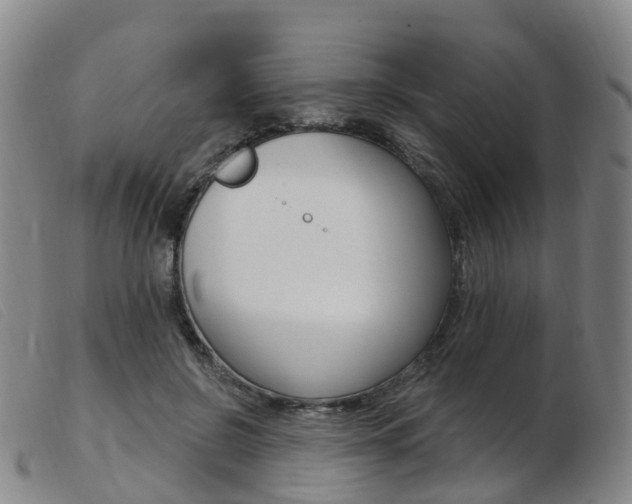 X0000103950550200809191213