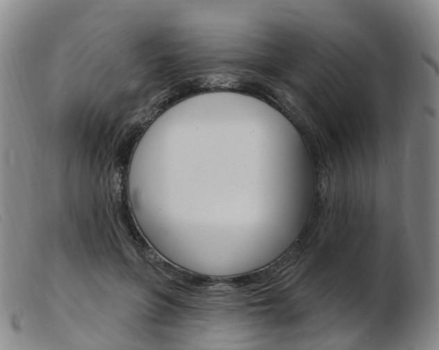 X0000103950551200809191213