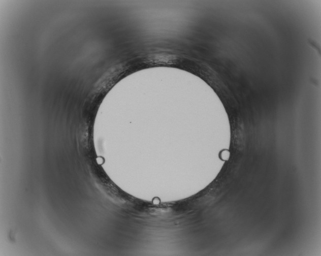 X0000103950552200809191213