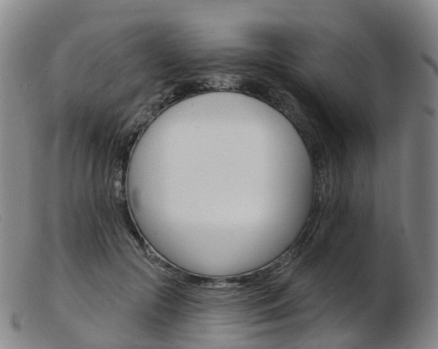 X0000103950553200809191213