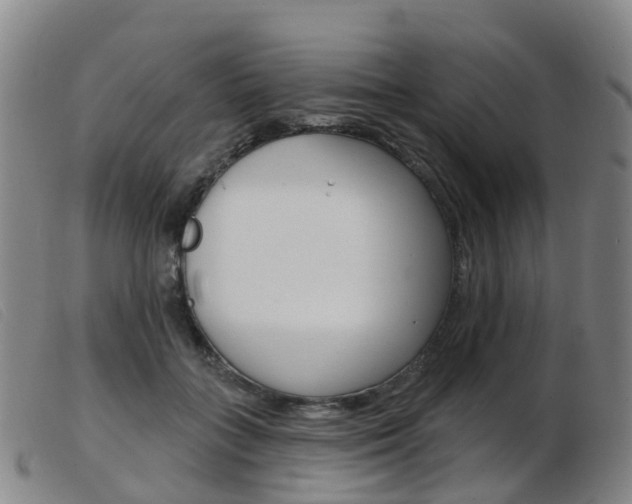 X0000103950555200809191213