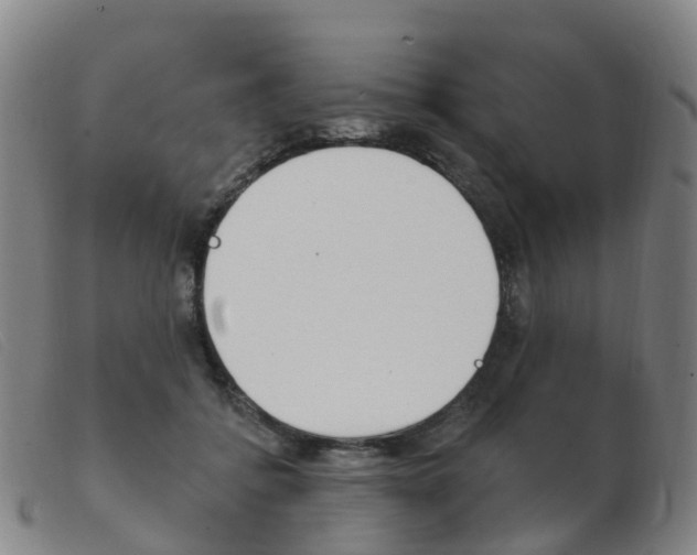 X0000103950556200809191213
