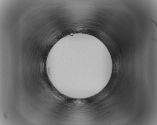X0000103950558200809191213