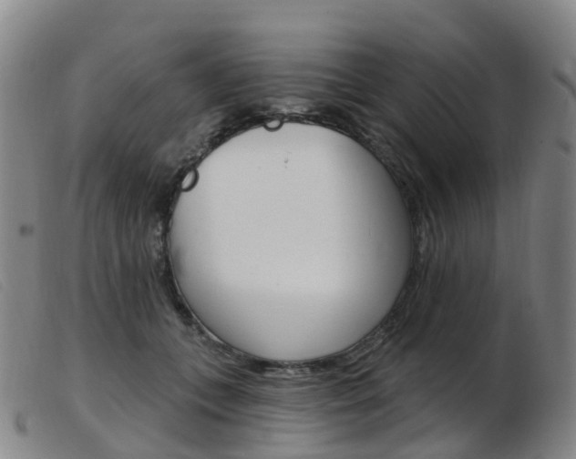 X0000103950559200809191213
