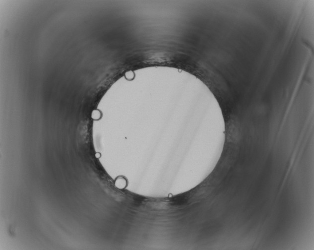 X0000103950560200809191213