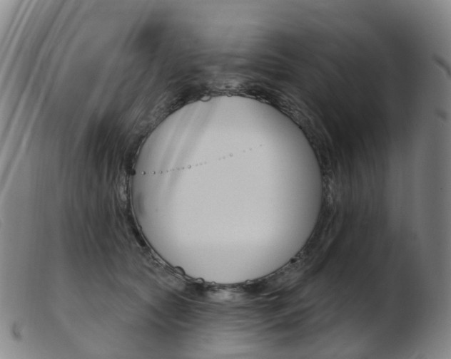 X0000103950561200809191213