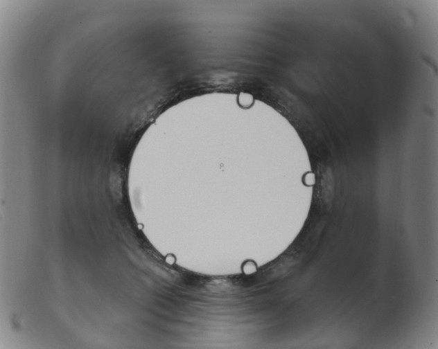 X0000103950562200809191213