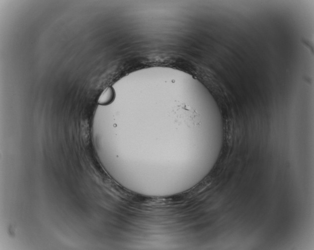 X0000103950563200809191213