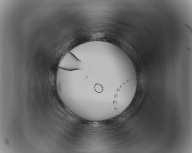 X0000103950565200809191213