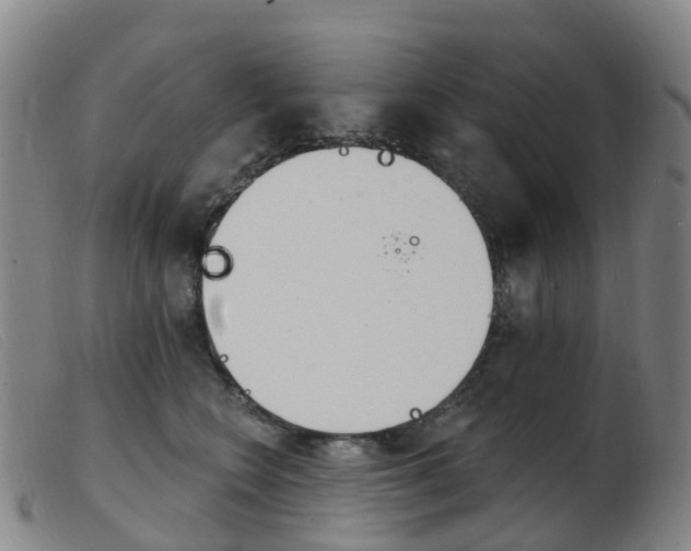 X0000103950566200809191213