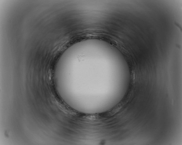X0000103950567200809191213