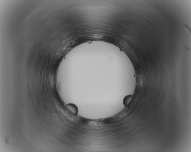 X0000103950568200809191213