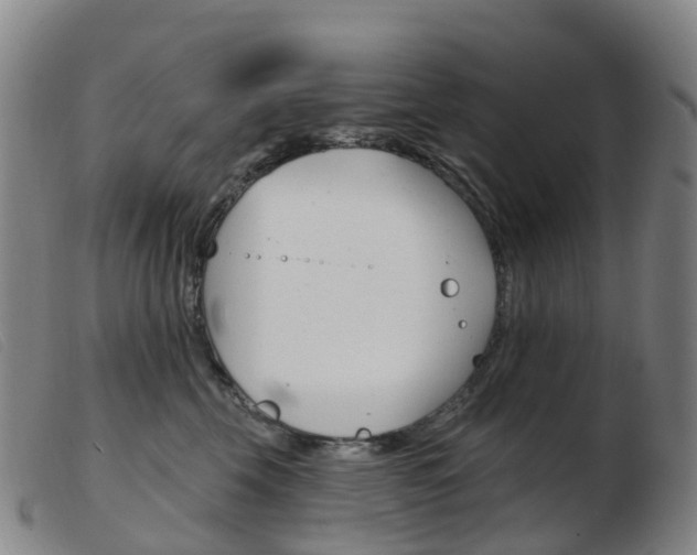 X0000103950569200809191213