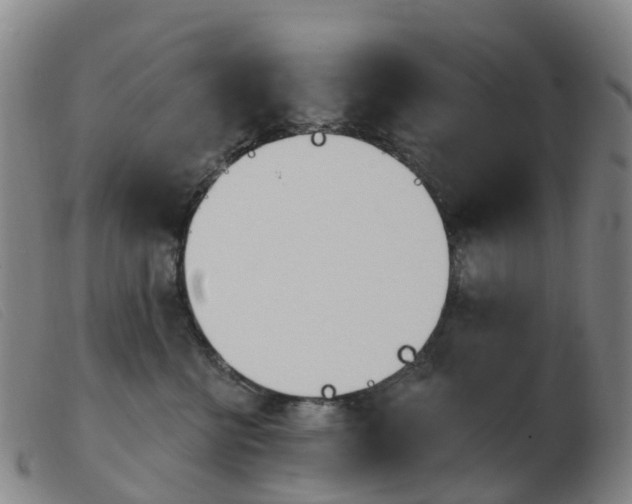 X0000103950570200809191213