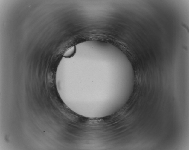 X0000103950571200809191213