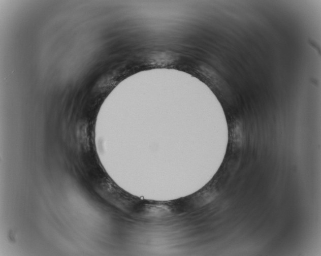 X0000103950572200809191213