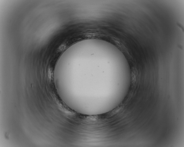 X0000103950574200809191213
