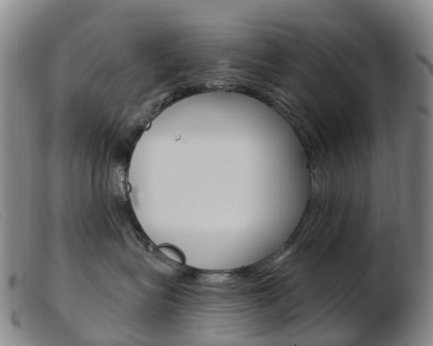 X0000103950575200809191213
