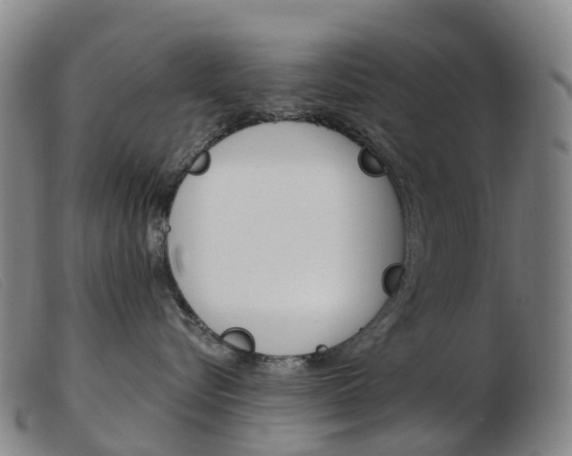 X0000103950576200809191214