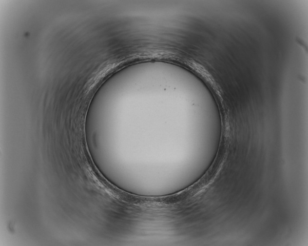 X0000103950577200809191213