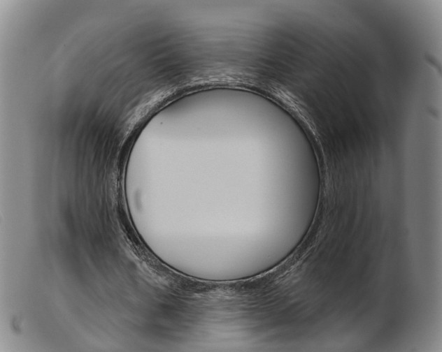 X0000103950578200809191213