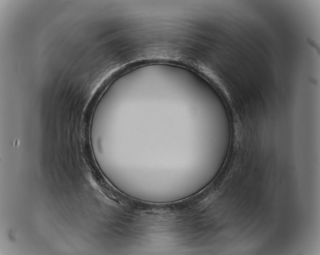 X0000103950580200809191213
